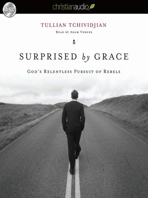 cover image of Surprised by Grace